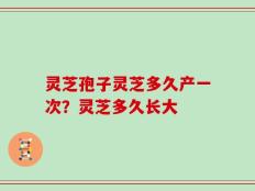 灵芝孢子灵芝多久产一次？灵芝多久长大