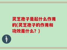 灵芝孢子是起什么作用的(灵芝孢子的作用和功效是什么？)