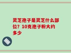 灵芝孢子是灵芝什么部位？10克孢子粉大约多少