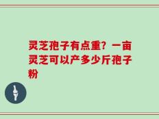 灵芝孢子有点重？一亩灵芝可以产多少斤孢子粉