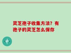 灵芝孢子收集方法？有孢子的灵芝怎么保存
