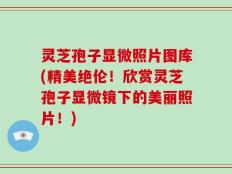 灵芝孢子显微照片图库(精美绝伦！欣赏灵芝孢子显微镜下的美丽照片！)