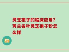 灵芝孢子的临床应用？芳兰名叶灵芝孢子粉怎么样