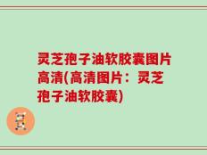 灵芝孢子油软胶囊图片高清(高清图片：灵芝孢子油软胶囊)