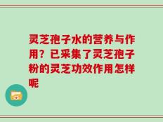 灵芝孢子水的营养与作用？已采集了灵芝孢子粉的灵芝功效作用怎样呢