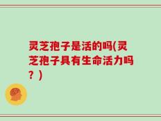 灵芝孢子是活的吗(灵芝孢子具有生命活力吗？)