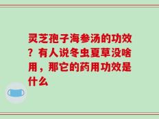 灵芝孢子海参汤的功效？有人说冬虫夏草没啥用，那它的药用功效是什么