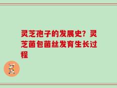 灵芝孢子的发展史？灵芝菌包菌丝发育生长过程