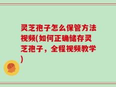 灵芝孢子怎么保管方法视频(如何正确储存灵芝孢子，全程视频教学)