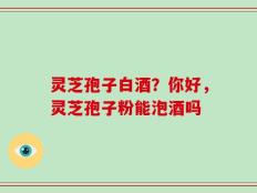 灵芝孢子白酒？你好，灵芝孢子粉能泡酒吗