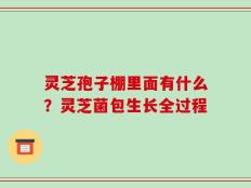 灵芝孢子棚里面有什么？灵芝菌包生长全过程