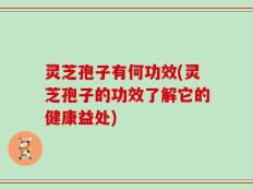 灵芝孢子有何功效(灵芝孢子的功效了解它的健康益处)
