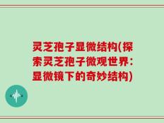 灵芝孢子显微结构(探索灵芝孢子微观世界：显微镜下的奇妙结构)