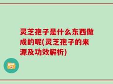 灵芝孢子是什么东西做成的呢(灵芝孢子的来源及功效解析)