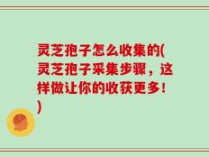 灵芝孢子怎么收集的(灵芝孢子采集步骤，这样做让你的收获更多！)