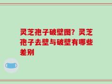 灵芝孢子破壁图？灵芝孢子去壁与破壁有哪些差别