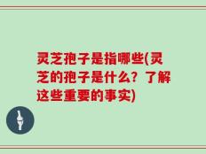 灵芝孢子是指哪些(灵芝的孢子是什么？了解这些重要的事实)