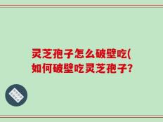 灵芝孢子怎么破壁吃(如何破壁吃灵芝孢子？