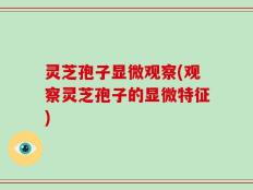 灵芝孢子显微观察(观察灵芝孢子的显微特征)