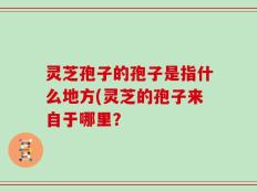 灵芝孢子的孢子是指什么地方(灵芝的孢子来自于哪里？