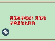 灵芝孢子概述？灵芝孢子粉是怎么样的