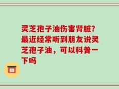 灵芝孢子油伤害肾脏？最近经常听到朋友说灵芝孢子油，可以科普一下吗