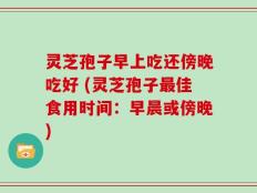 灵芝孢子早上吃还傍晚吃好 (灵芝孢子最佳食用时间：早晨或傍晚)