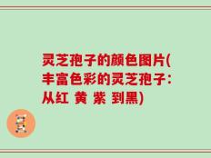 灵芝孢子的颜色图片(丰富色彩的灵芝孢子：从红 黄 紫 到黑)