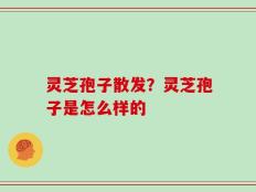 灵芝孢子散发？灵芝孢子是怎么样的