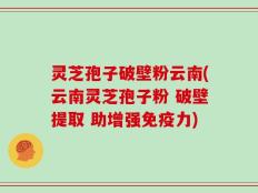 灵芝孢子破壁粉云南(云南灵芝孢子粉 破壁提取 助增强免疫力)