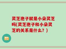 灵芝孢子就是小朵灵芝吗(灵芝孢子和小朵灵芝的关系是什么？)