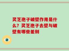 灵芝孢子破壁作用是什么？灵芝孢子去壁与破壁有哪些差别