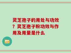 灵芝孢子的用处与功效？灵芝孢子粉功效与作用及用量是什么