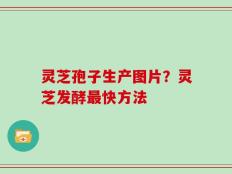灵芝孢子生产图片？灵芝发酵最快方法