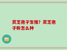 灵芝孢子生殖？灵芝孢子粉怎么种