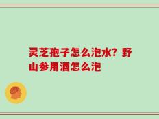 灵芝孢子怎么泡水？野山参用酒怎么泡