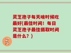 灵芝孢子每天啥时候吃最好(最佳时间！每日灵芝孢子最佳摄取时间是什么？)
