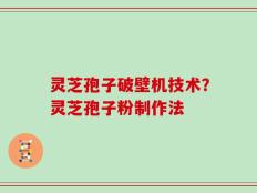 灵芝孢子破壁机技术？灵芝孢子粉制作法