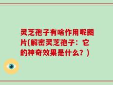 灵芝孢子有啥作用呢图片(解密灵芝孢子：它的神奇效果是什么？)