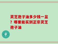 灵芝孢子油多少钱一盆？哪里能买到正宗灵芝孢子油