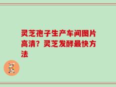 灵芝孢子生产车间图片高清？灵芝发酵最快方法