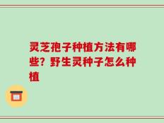 灵芝孢子种植方法有哪些？野生灵种子怎么种植