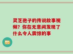 灵芝孢子的传说故事视频？你在无意间发现了什么令人震惊的事