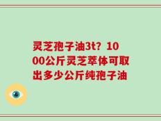 灵芝孢子油3t？1000公斤灵芝萃体可取出多少公斤纯孢子油
