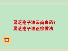 灵芝孢子油云南白药？灵芝孢子油正宗做法