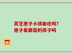 灵芝孢子小孩能吃吗？孢子是蘑菇的孩子吗