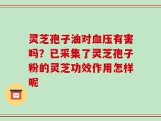 灵芝孢子油对血压有害吗？已采集了灵芝孢子粉的灵芝功效作用怎样呢