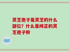 灵芝孢子是灵芝的什么部位？什么是纯正的灵芝孢子粉