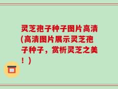 灵芝孢子种子图片高清(高清图片展示灵芝孢子种子，赏析灵芝之美！)