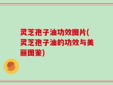 灵芝孢子油功效图片(灵芝孢子油的功效与美丽图鉴)